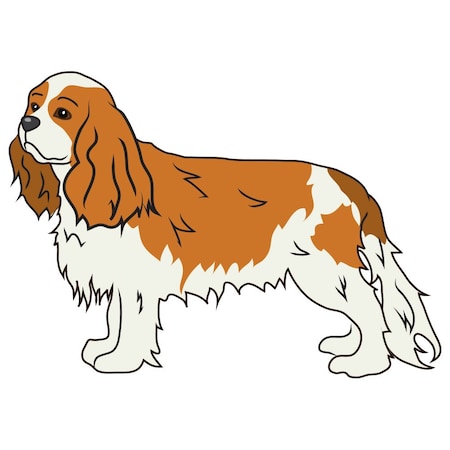 Signmission Cavalier King Charles Spaniel Dog Decal, Dog Lover Decor Vinyl Sticker D-12-Cavalier King Charles Spaniel